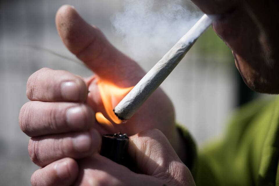 Vor der Cannabis-Legalisierung Vor der Cannabis-Legalisierung