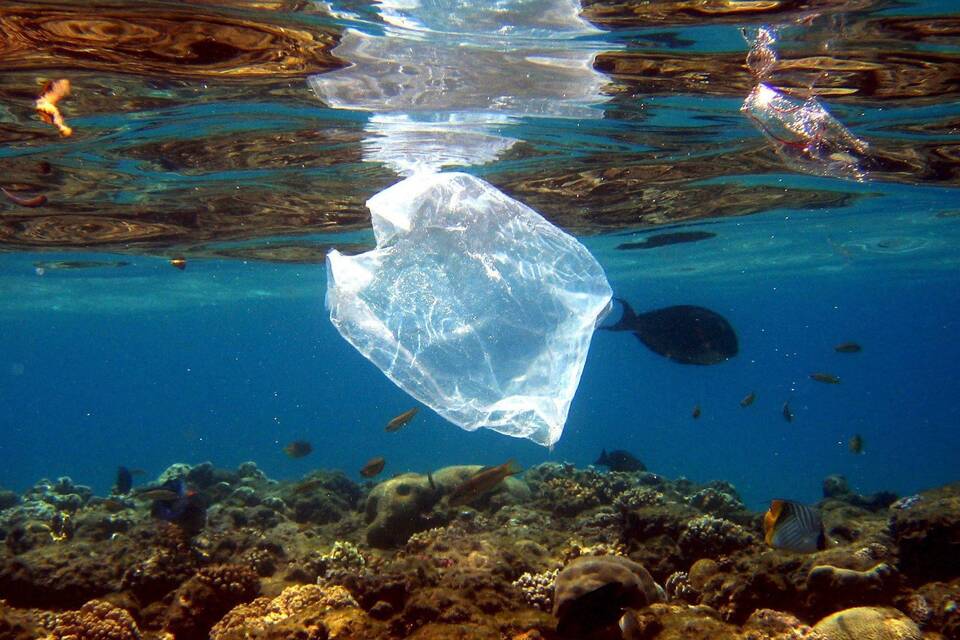 Der Traum von einem Leben ohne Plastiktüten  