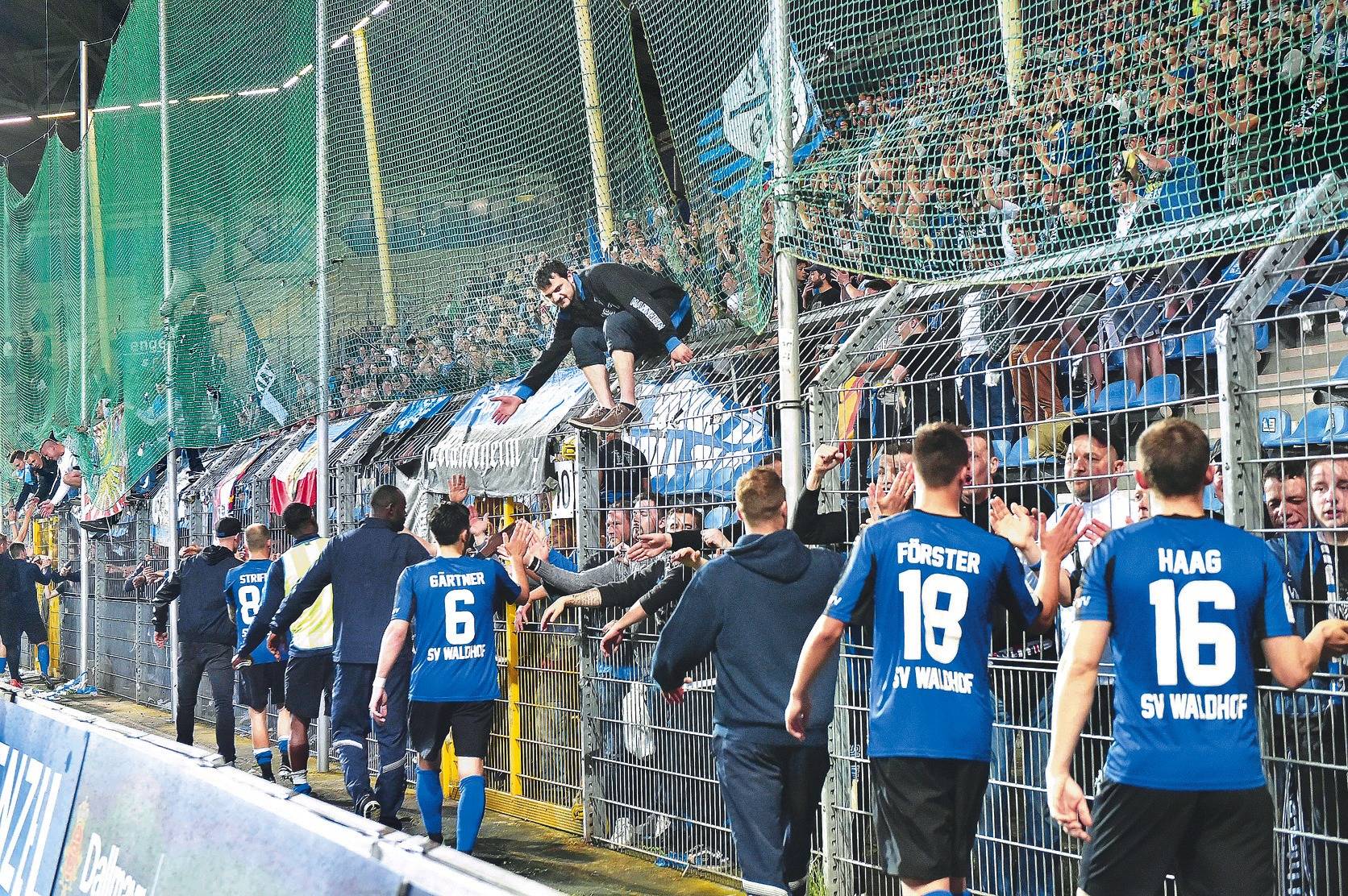 Waldhof Relegation Waldhof Relegation