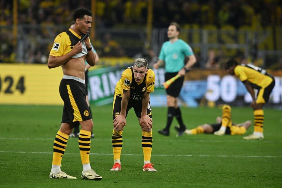 BVB-Frust BVB-Frust