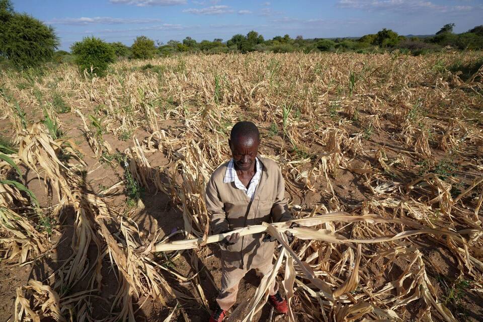 Dürre im Süden Afrikas Dürre im Süden Afrikas