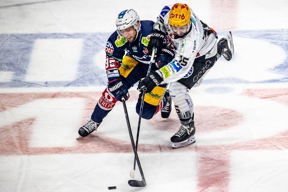 Finalspiel zwischen Eisbären Berlin und Pinguins Bremerhaven Finalspiel zwischen Eisbären Berlin und Pinguins Bremerhaven