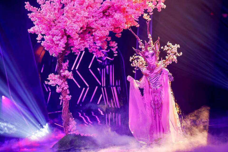 "The Masked Singer" "The Masked Singer"