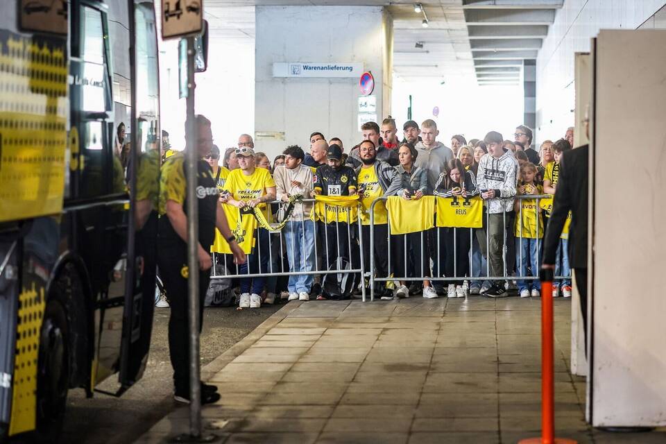 BVB-Fans BVB-Fans