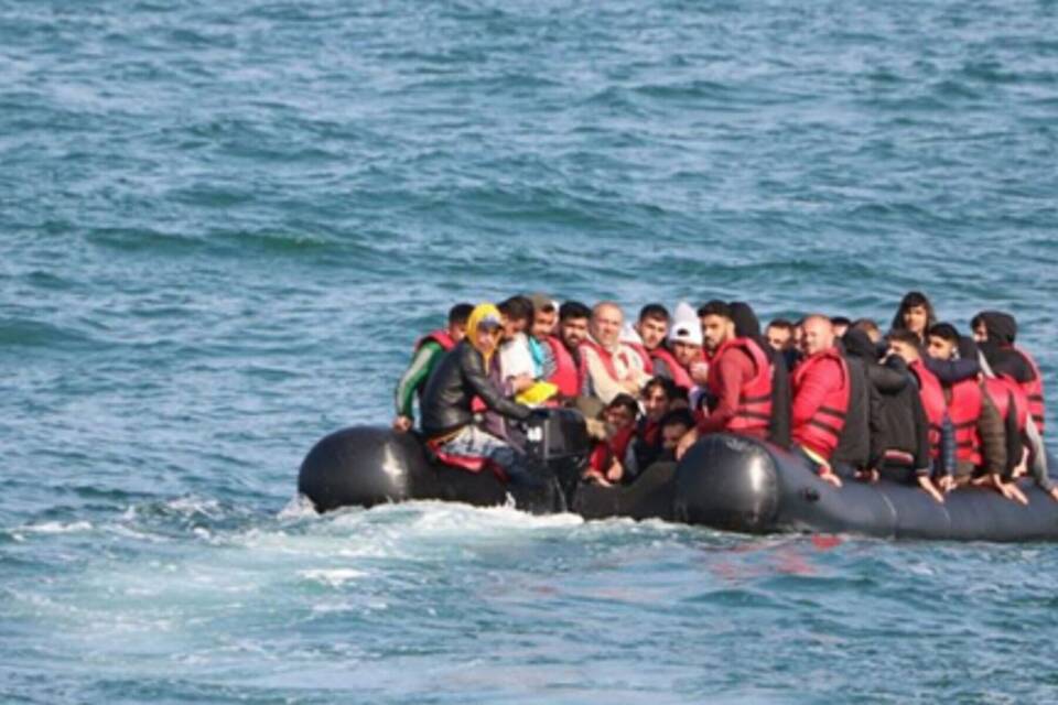 Migration