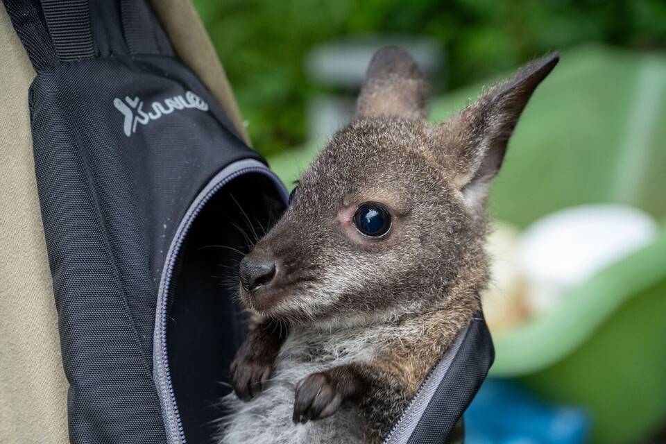 Zoo Stralsund Zoo Stralsund