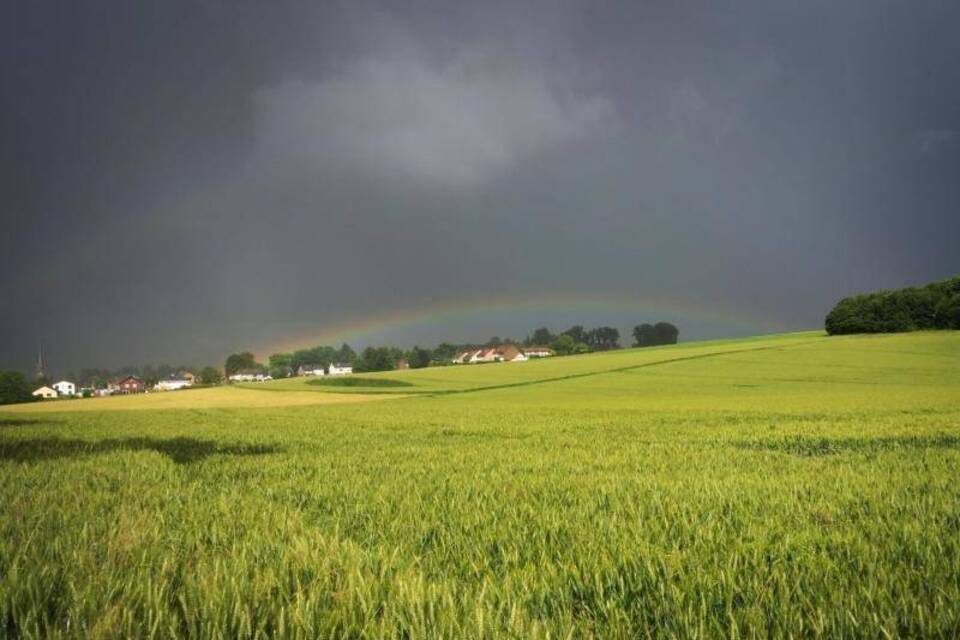 Regenbogen