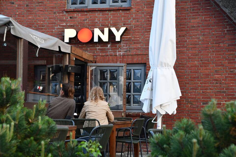 Club Pony Club Pony
