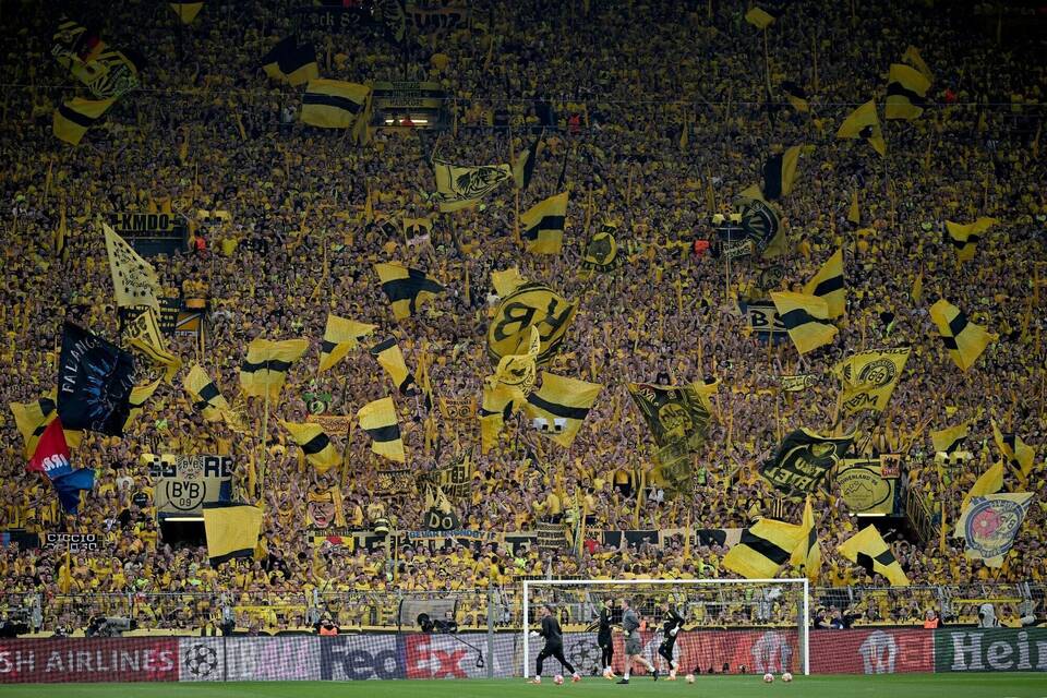 Dortmund-Fans Dortmund-Fans