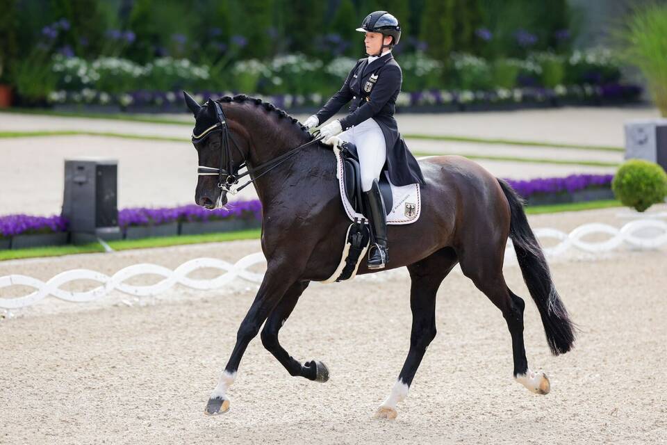 CHIO Aachen CHIO Aachen