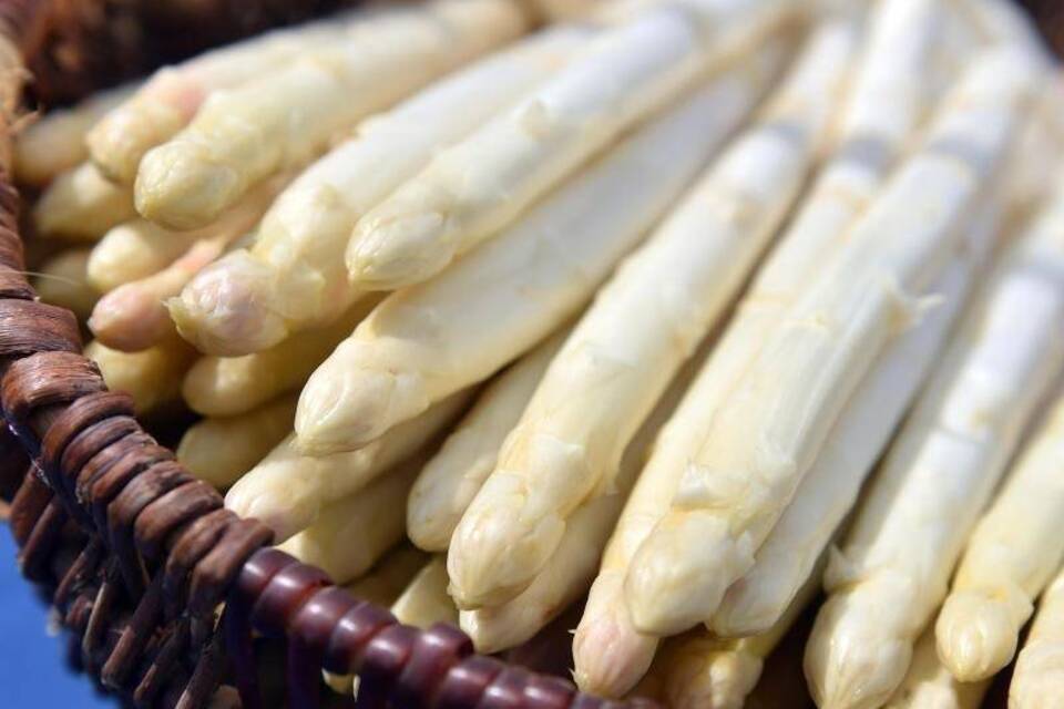 Spargel Spargel