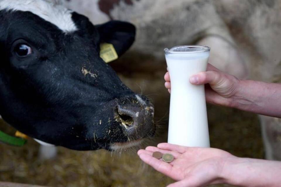 Milchpreis verfällt Milchpreis verfällt