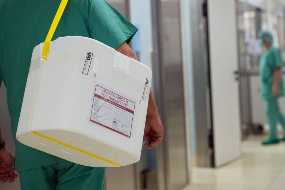 Organspende Organspende