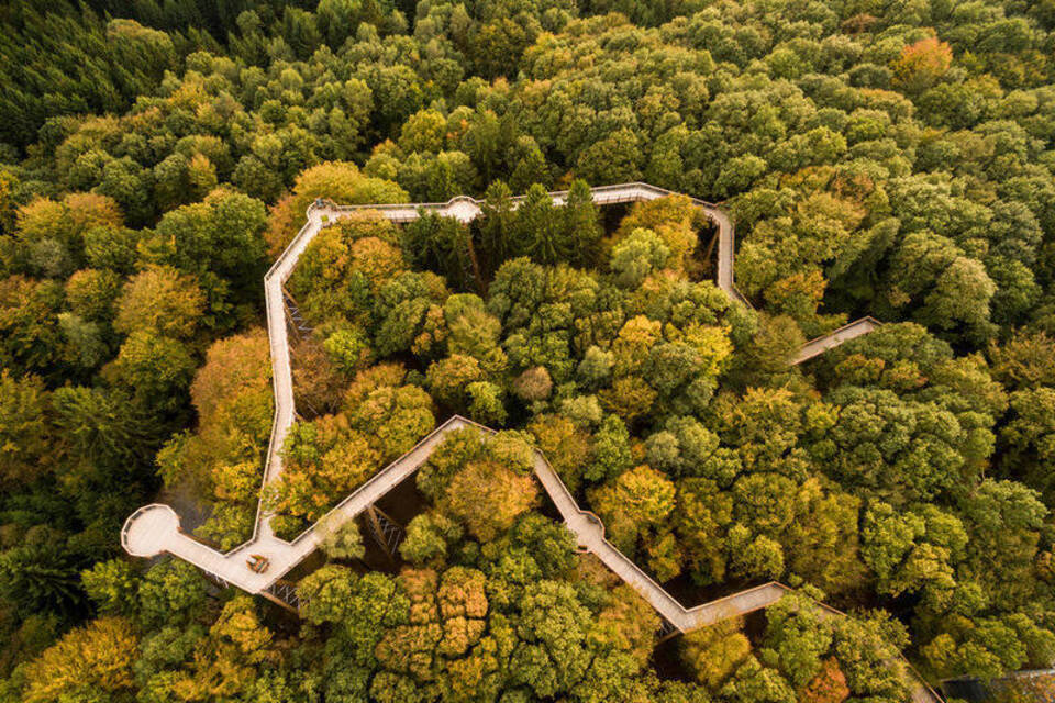 Aus der Eichhörnchenperspektive: Baumwipfelpfade in Deutschland Aus der Eichhörnchenperspektive: Baumwipfelpfade in Deutschland