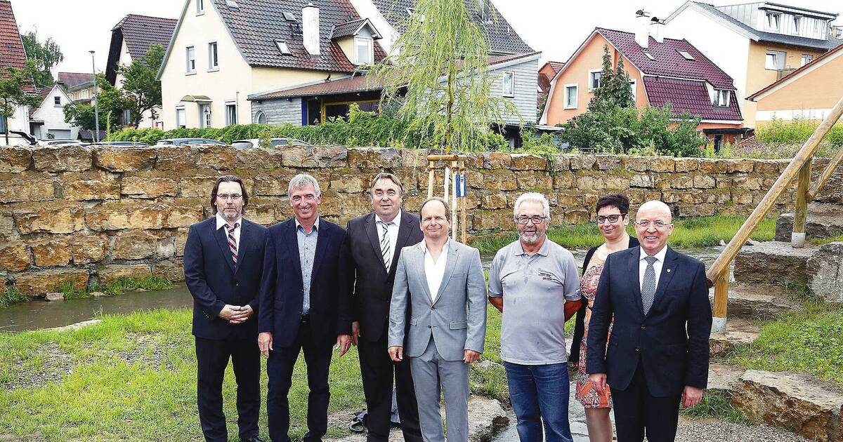 Rhein neckar zeitung er sucht sie