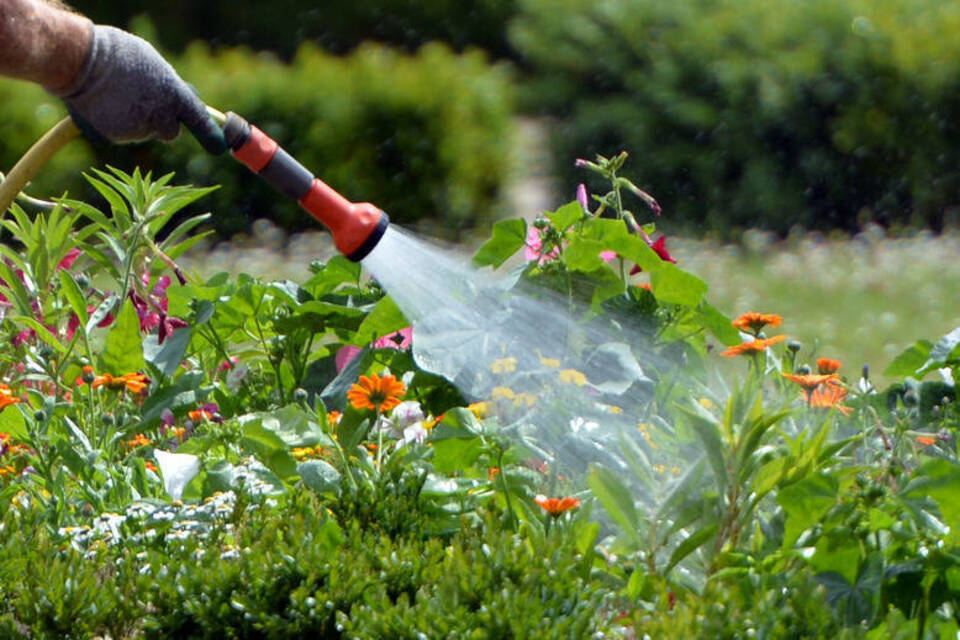 Wasser marsch, aber wie? – Tipps für die clevere Gartenbewässerung Wasser marsch, aber wie? – Tipps für die clevere Gartenbewässerung