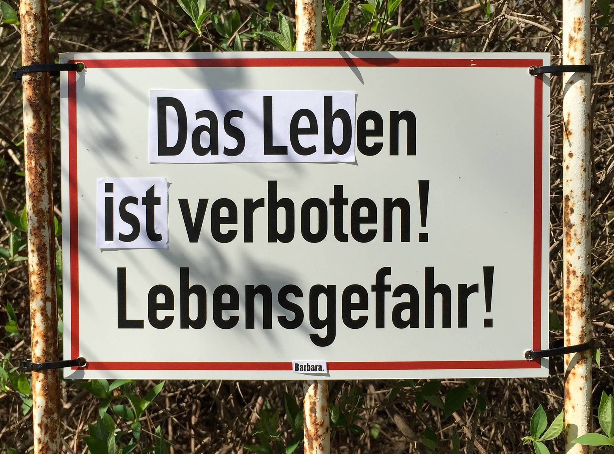 Download Nehmt das leben nicht so ernst Free