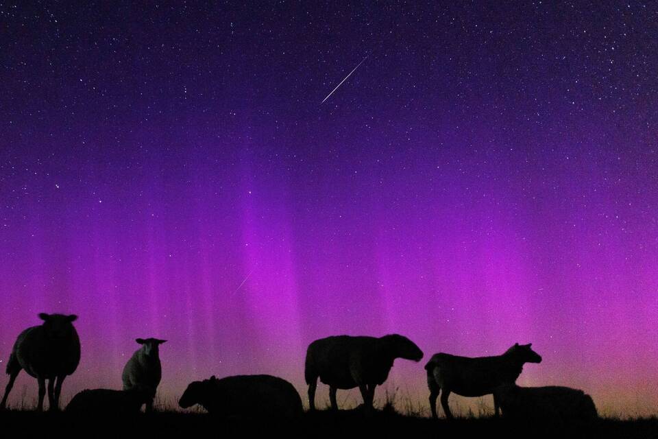 Polarlichter über dem Deich Polarlichter über dem Deich