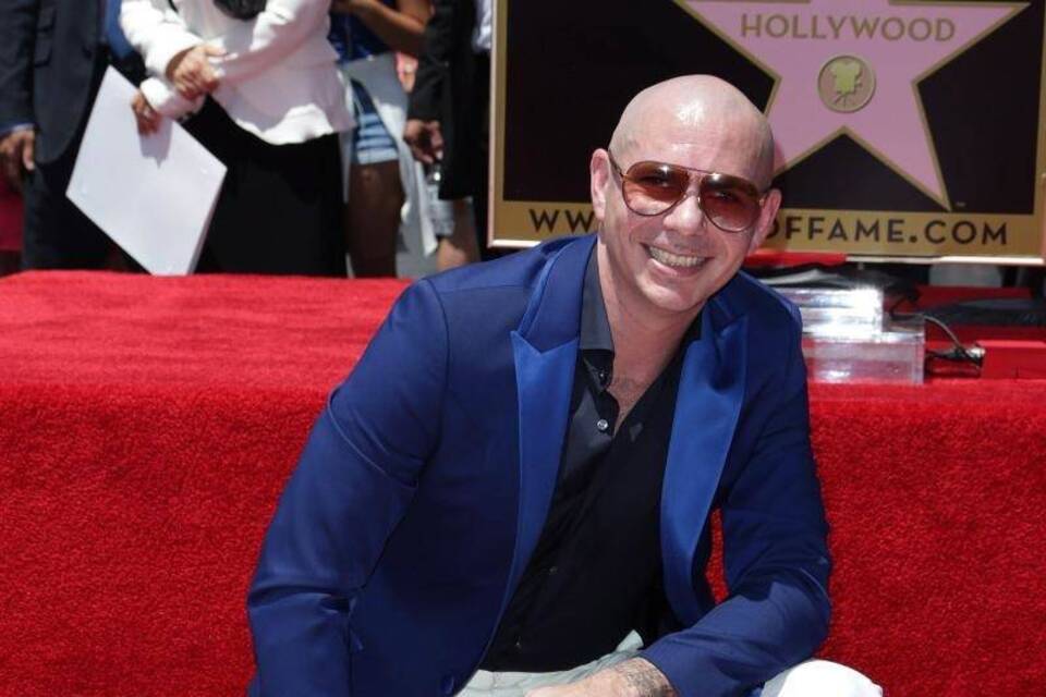 Pitbull Pitbull