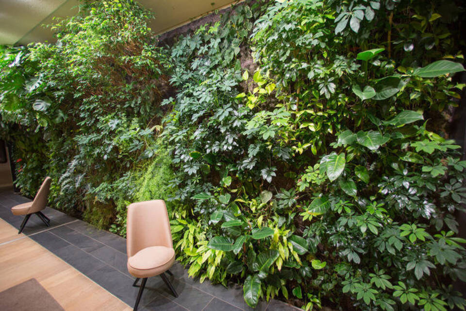 Ein Dschungel fürs Wohnzimmer: Echte Pflanzen ersetzen die Tapete