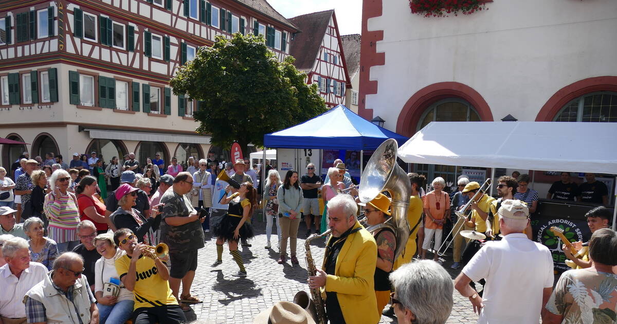 Impressionen vom Stadtfest in Mosbach - Startseite rnz.de - Rhein