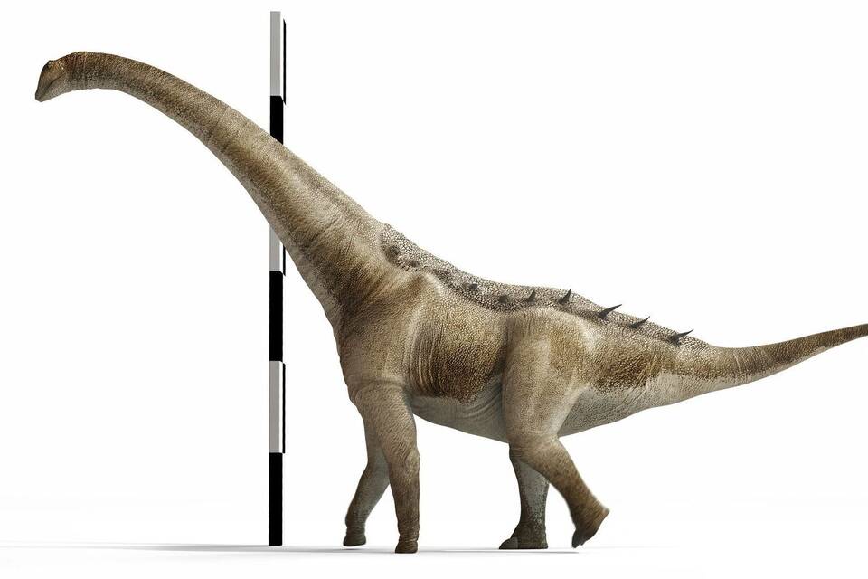 Neuer Langhals-Dinosaurier in Spanien entdeckt Neuer Langhals-Dinosaurier in Spanien entdeckt