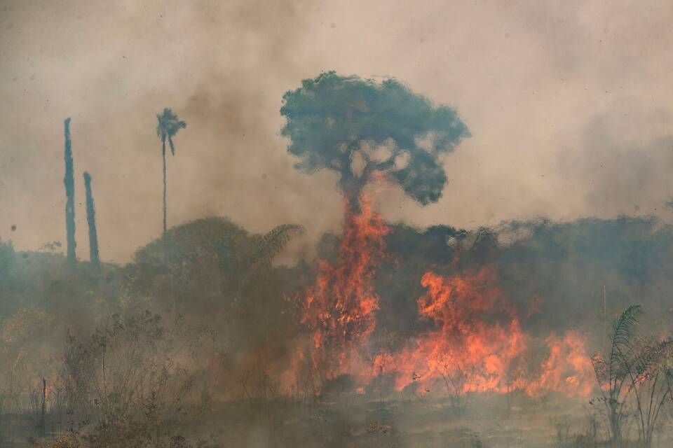 Waldbrände im Amazonasgebiet Waldbrände im Amazonasgebiet