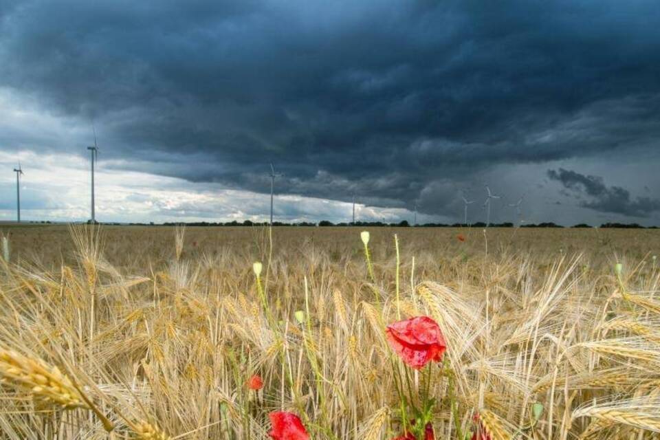 Regenwolken Regenwolken