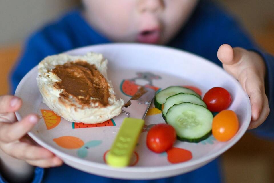 Vegetarisches Essen für Kinder Vegetarisches Essen für Kinder