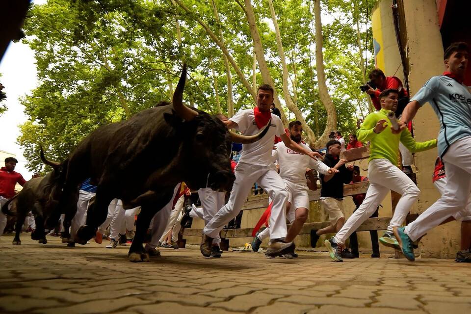 «Sanfermines»-Fest in Pamplona «Sanfermines»-Fest in Pamplona