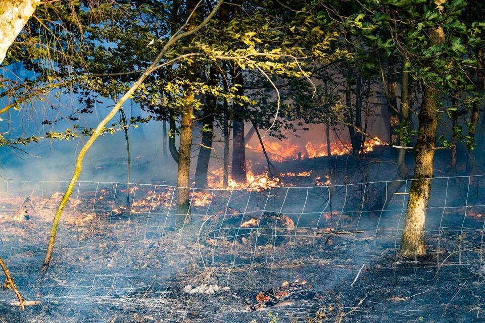 Waldbrandbekämpfung Waldbrandbekämpfung
