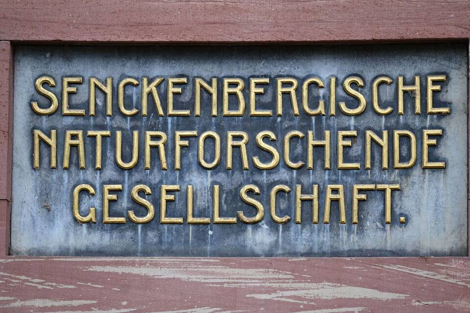 Senckenberg-Gesellschaft Senckenberg-Gesellschaft