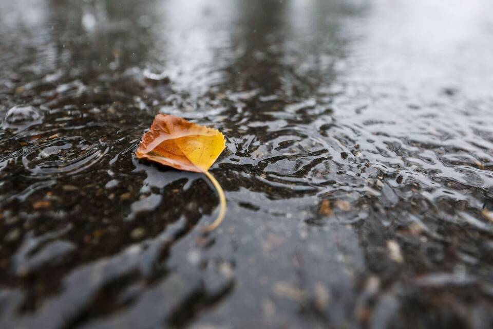Wetter - Symbolbild Wetter - Symbolbild
