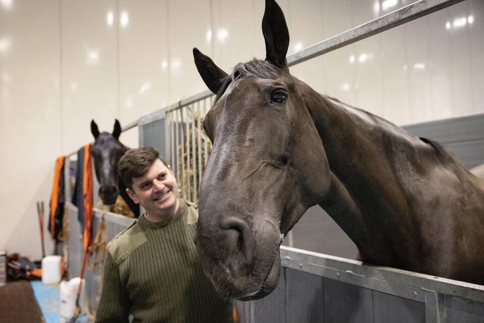 Pferd aus dem Trauerzug der Queen bekommt Auszeichnung Pferd aus dem Trauerzug der Queen bekommt Auszeichnung