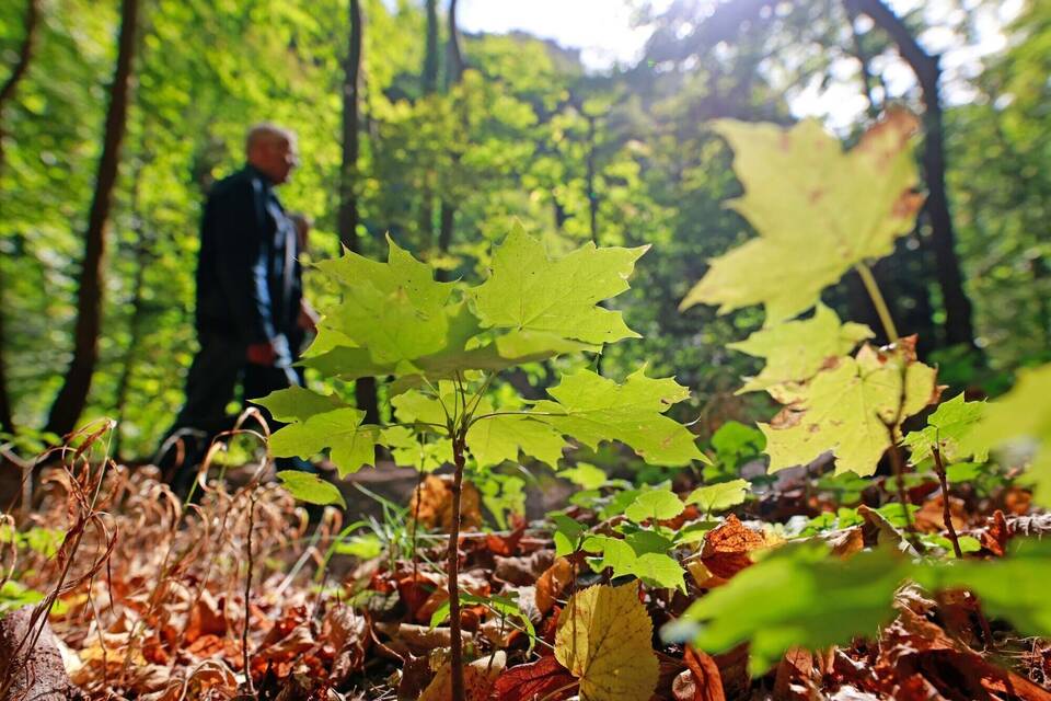 Herbstwetter Herbstwetter