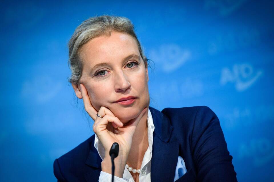 Alice Weidel Alice Weidel