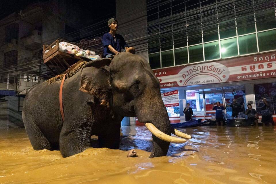 Hochwasser in Thailand Hochwasser in Thailand