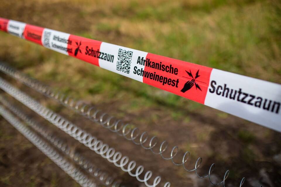 Schutzzäune gegen Afrikanische Schweinepest Schutzzäune gegen Afrikanische Schweinepest