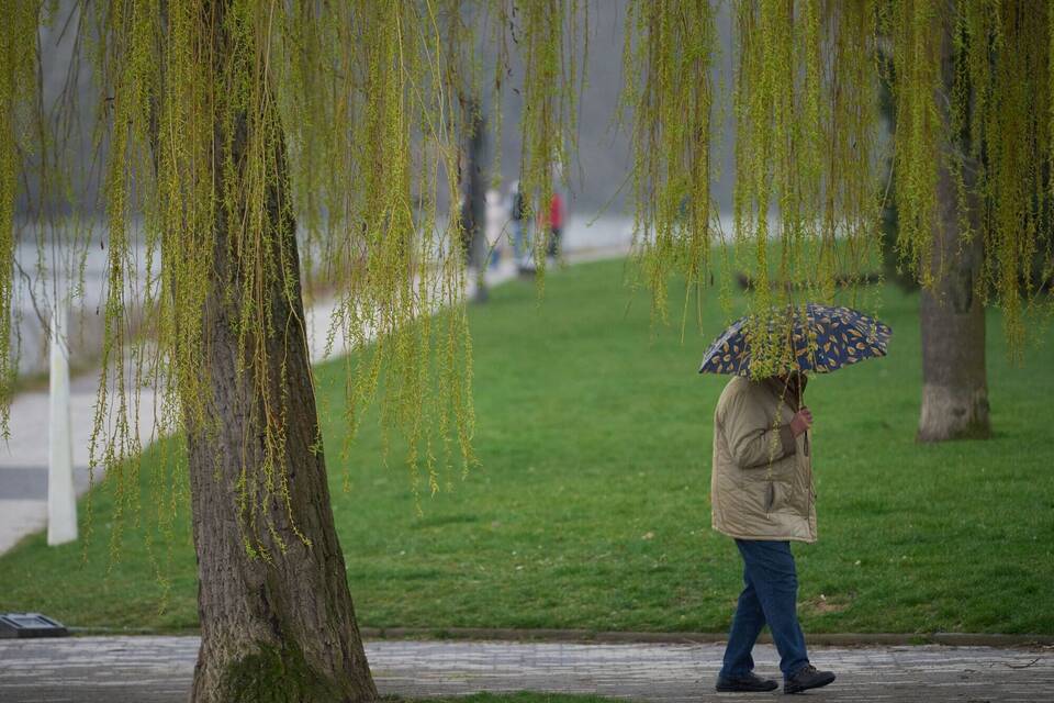 Ein Mann spaziert bei Regen durch die Koblenzer Rheinanlagen