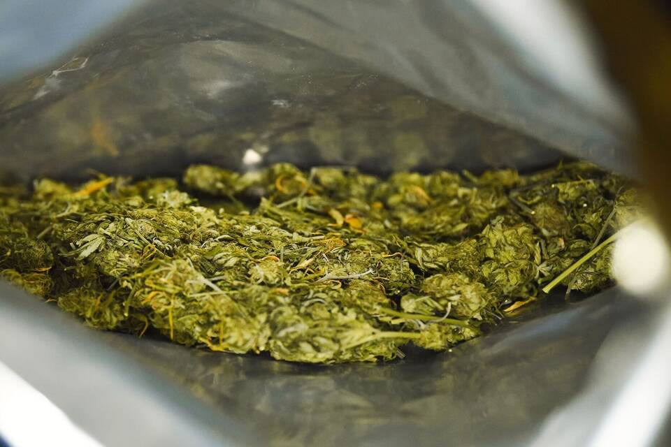 Sichergestelltes Marihuana