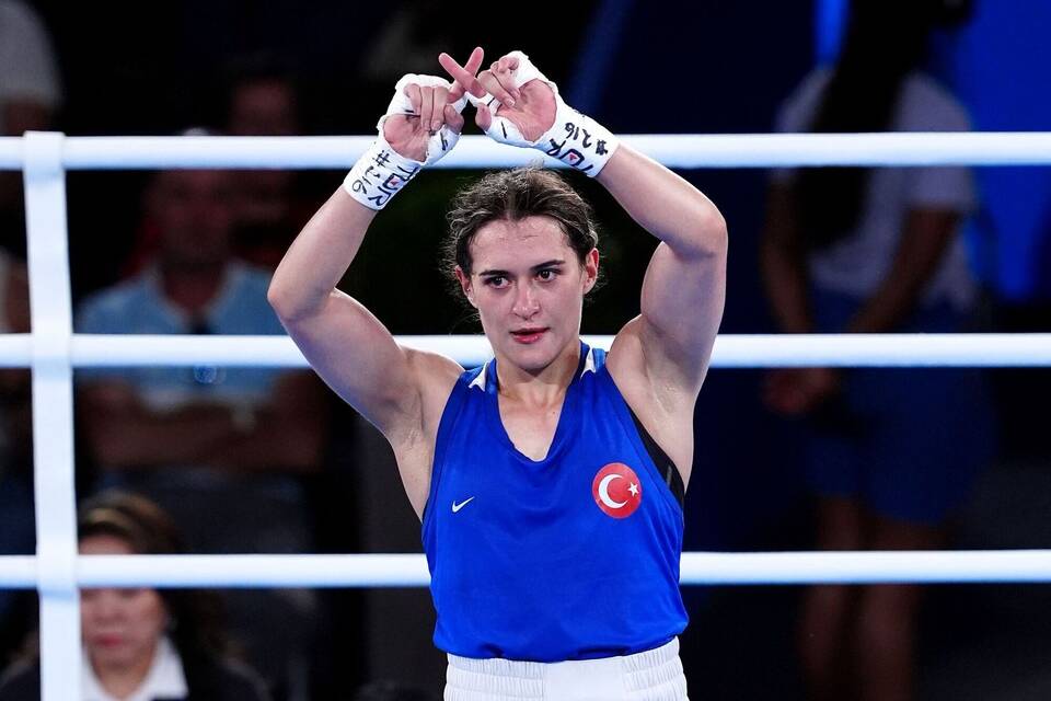 Türkische Bronze-Boxerin Yildiz