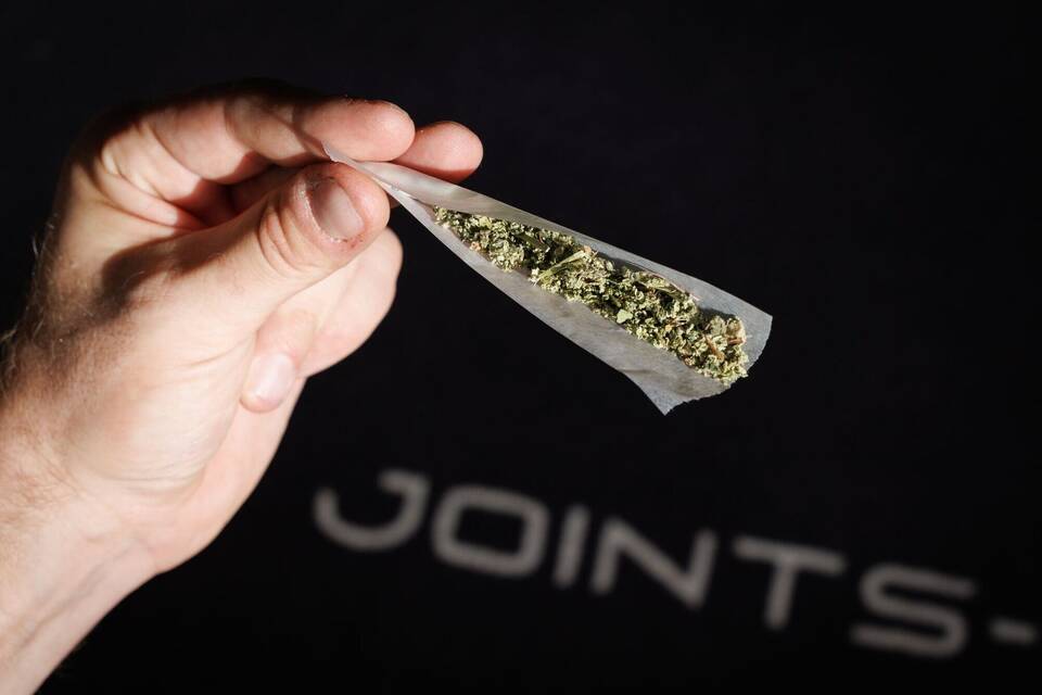 Erste Cannabis-Anbauvereinigung in NRW genehmigt Erste Cannabis-Anbauvereinigung in NRW genehmigt