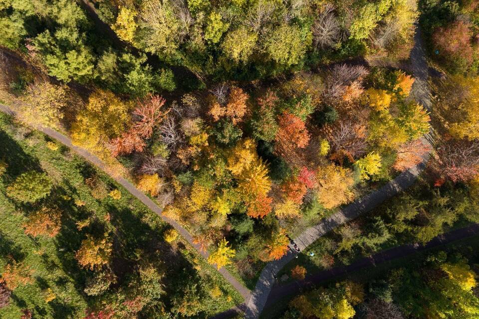 Herbst in Sachsen Herbst in Sachsen