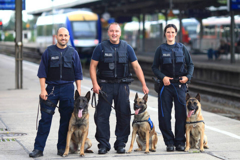 Diensthunde bei der Bundespolizei: «Die Hunde sind Teil der Familie» Diensthunde bei der Bundespolizei: «Die Hunde sind Teil der Familie»
