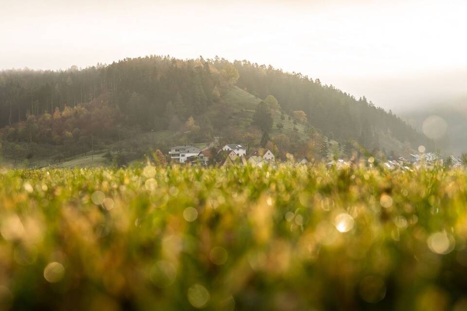 Herbst in Baden-Württemberg Herbst in Baden-Württemberg