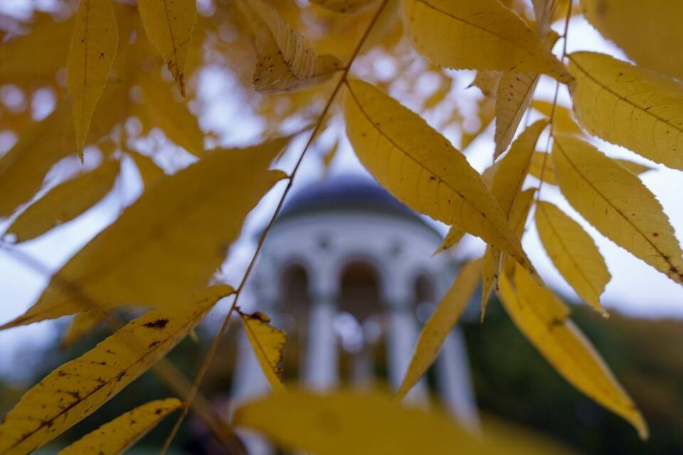 Herbst auf dem Neroberg Herbst auf dem Neroberg