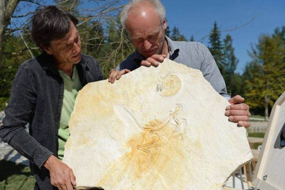 Archaeopteryx Archaeopteryx