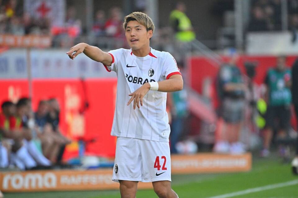 Ritsu Doan