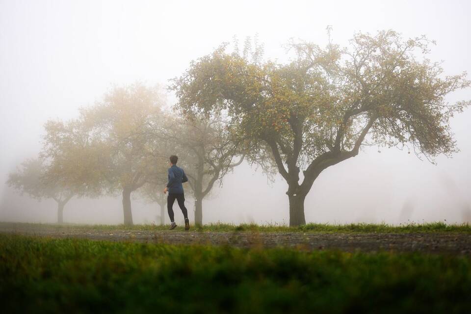 Nebel in Hessen Nebel in Hessen