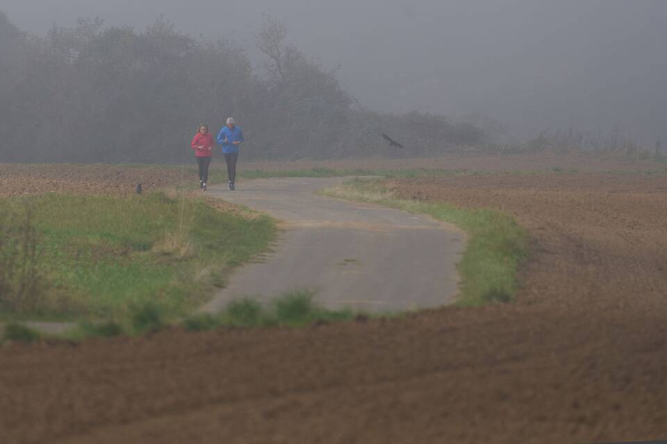 Wetter in Rheinland-Pfalz Wetter in Rheinland-Pfalz